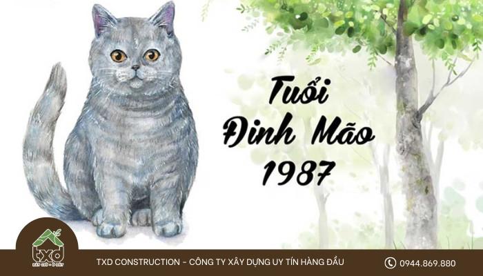 Cung mệnh và đặc điểm phong thủy của tuổi Đinh Mão 1987 khi xem xét xây nhà năm 2025 tháng nào tốt