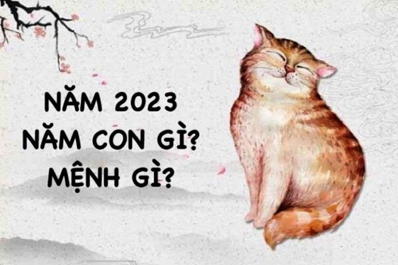 Đặc điểm mệnh Kim Bạch Kim của người sinh năm 2023