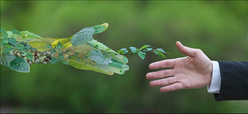Đặc điểm người mệnh Thanh Đế theo tử vi