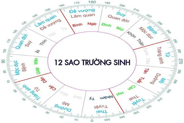 Danh sách 12 Vòng Trường Sinh chi tiết trong Tử Vi