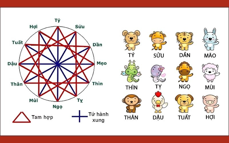 Địa Chi Ngọ của nam 2002 có nhiều mối quan hệ tương hợp và tương khắc