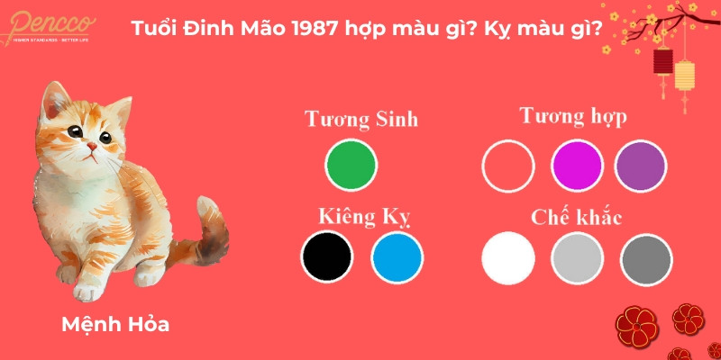 Đinh Mão 1987 hợp màu đỏ, cam, tím, hồng và xanh lá cây