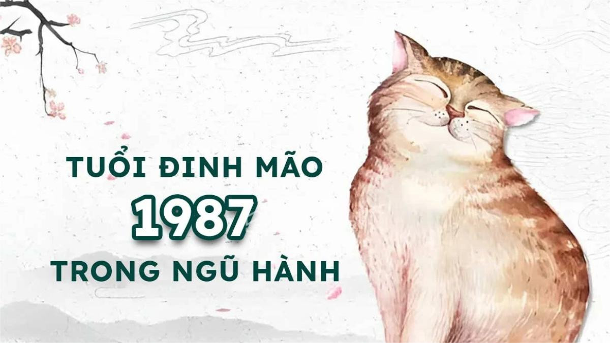 Đinh Mão cung mệnh - Nam Tốn, Nữ Khôn
