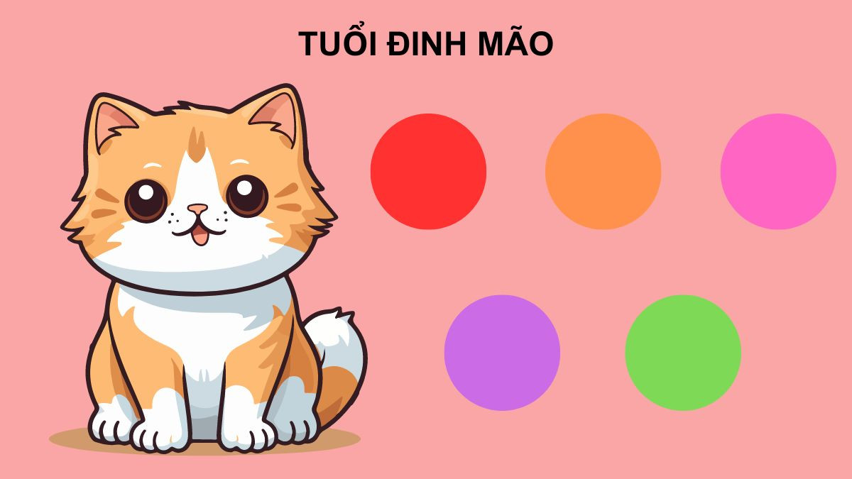 Đinh Mão hợp màu gì - Đỏ, cam, hồng, tím