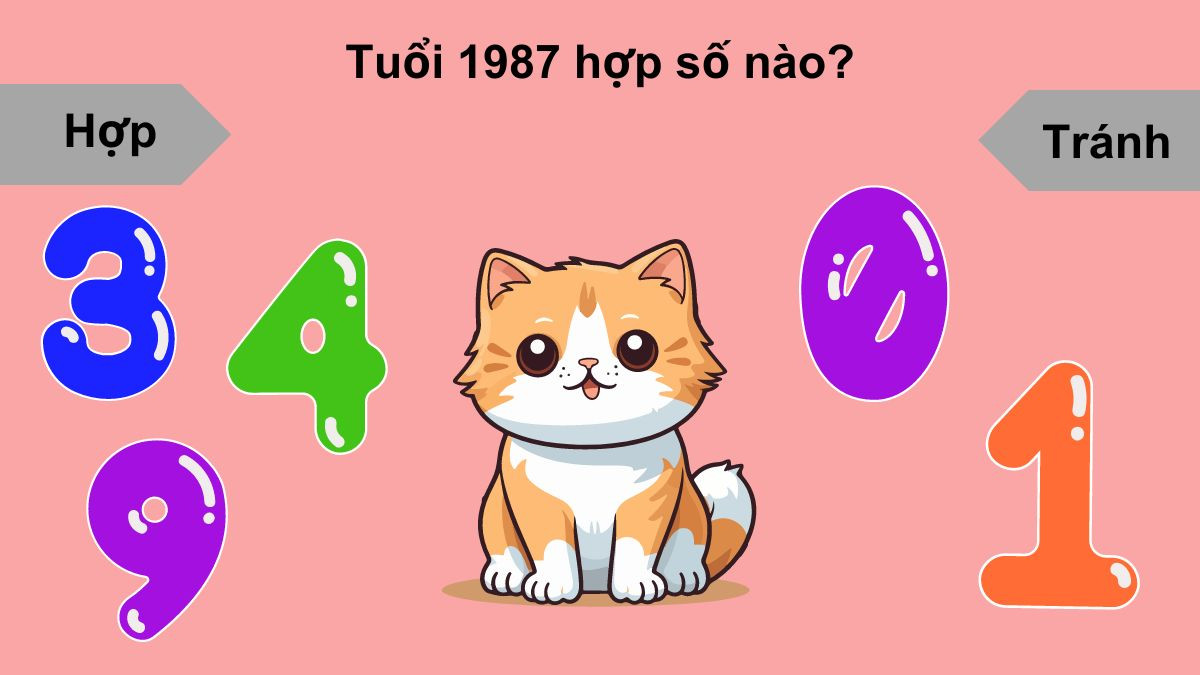 Đinh Mão hợp số nào - 3, 4, 9