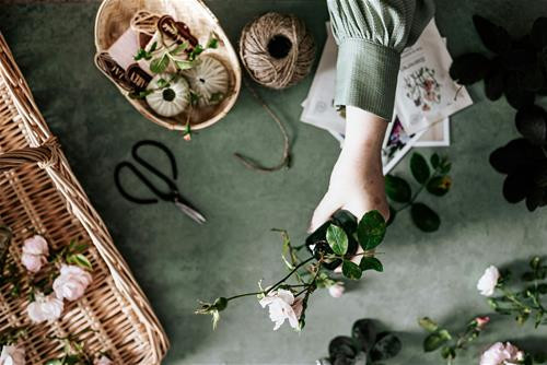 Đọc tử vi hàng ngày thiện tuệ ngày mai để đón nhận phước lành