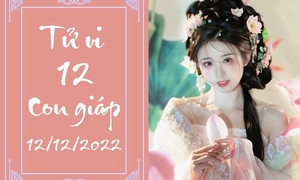 Dự đoán tử vi 12 con giáp 14 12