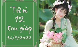 Dự đoán tử vi hàng ngày
