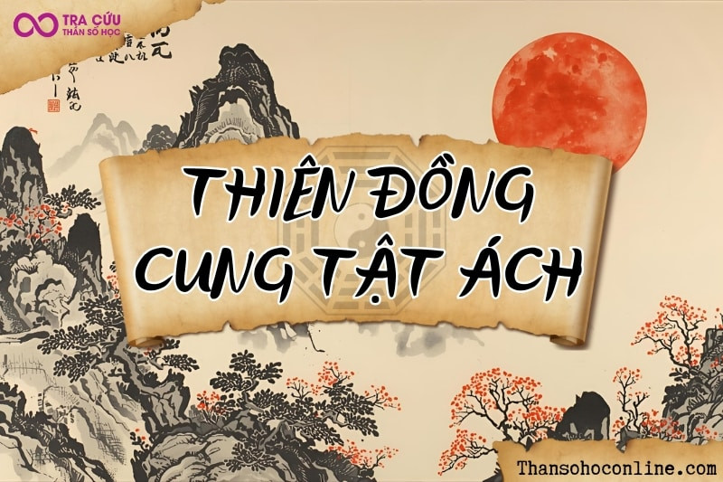 Gan mật; bàng quang, dễ bí tiểu; tiểu đường; tai – mũi – phổi.