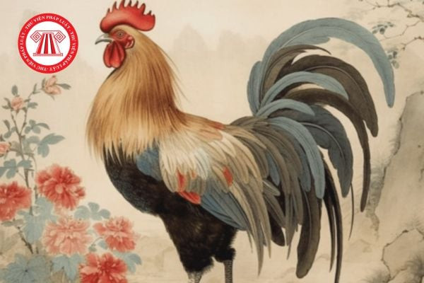 Gia đình Kỷ Dậu 1969 hạnh phúc an lành trong ngôi nhà ấm cúng