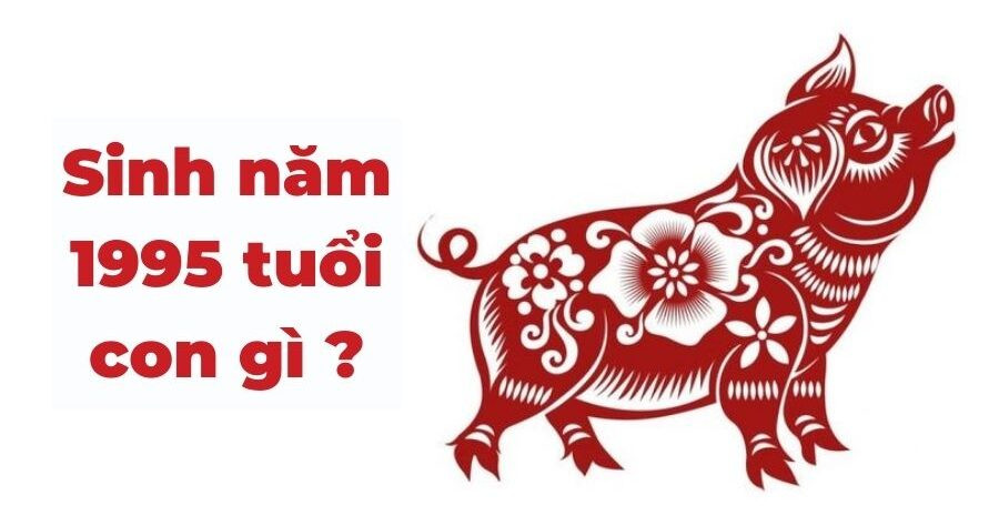Giải đáp thắc mắc về tuổi con giáp của người sinh năm 1995 là Ất Hợi