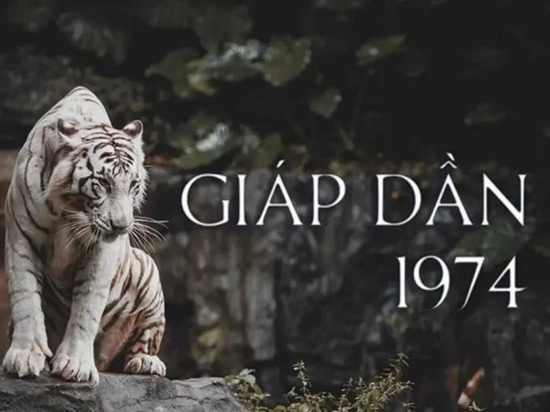 Giai đoạn chuyển đổi chu kỳ đại vận quan trọng cho tuổi Dần