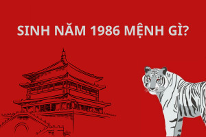 Giải mã vận mệnh Lư Trung Hỏa của người sinh năm Bính Dần 1986