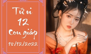 Hình ảnh biểu tượng các con giáp ngày 21/12