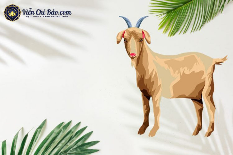 Hình ảnh con dê an nhiên tượng trưng cho tuổi Mùi, với cơ hội khởi nghiệp và tình duyên viên mãn trong tử vi tháng 11 âm lịch.
