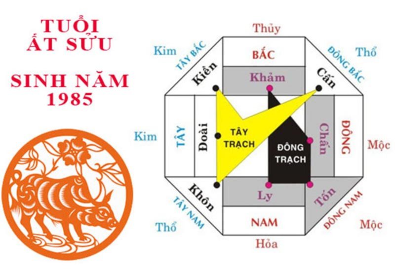 Hình ảnh minh họa cung mệnh của nam và nữ tuổi Ất Sửu 1985