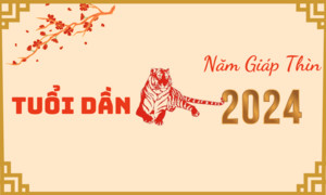 Hình ảnh minh họa ngày Tết, cầu mong hạnh phúc cho tuổi Kỷ Mão cưới hỏi năm 2024