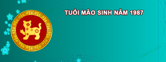 Hình ảnh minh họa sao chiếu mệnh và hạn niên cho tử vi tuổi Mão 1987 năm 2027 nữ mạng