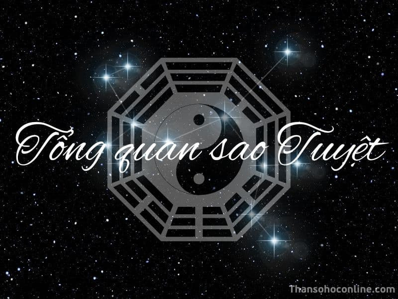 Hình ảnh minh họa sao Tuyệt trong vòng Trường Sinh của tử vi