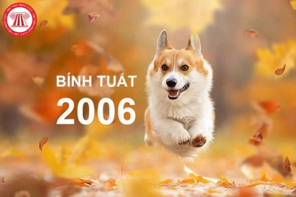 Hình ảnh minh họa tử vi Bính Tuất 2006 nữ mạng và vận trình năm 2025.