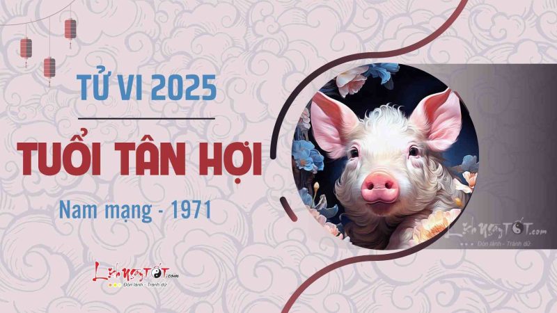 Hình ảnh minh họa vận trình tử vi tuổi Tân Hợi năm 2025 nam mạng