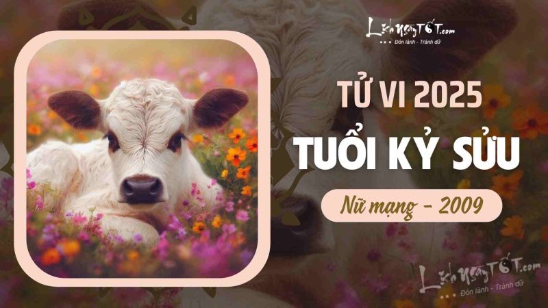 Hình ảnh minh họa về tử vi tuổi Sửu 2009 nữ mạng năm 2025, thể hiện sự chiêm nghiệm vận mệnh.