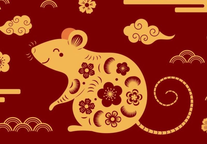 Hình ảnh minh họa về vận mệnh tử vi tuổi Mậu Tý 1948 nam mạng, thể hiện sự chiêm nghiệm về cuộc đời và các yếu tố tâm linh.