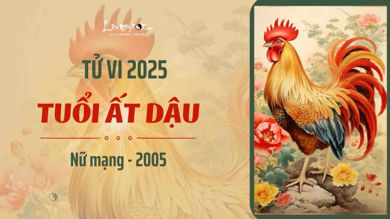 Hình ảnh mô tả tổng quan về tử vi nữ 2005 năm 2025 tuổi Ất Dậu
