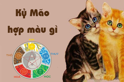 Hình ảnh một bảng màu sắc hài hòa với các gam màu vàng, nâu, đỏ, hồng, tím, minh họa cho màu sắc hợp mệnh với tuổi Kỷ Mão sinh năm 1939
