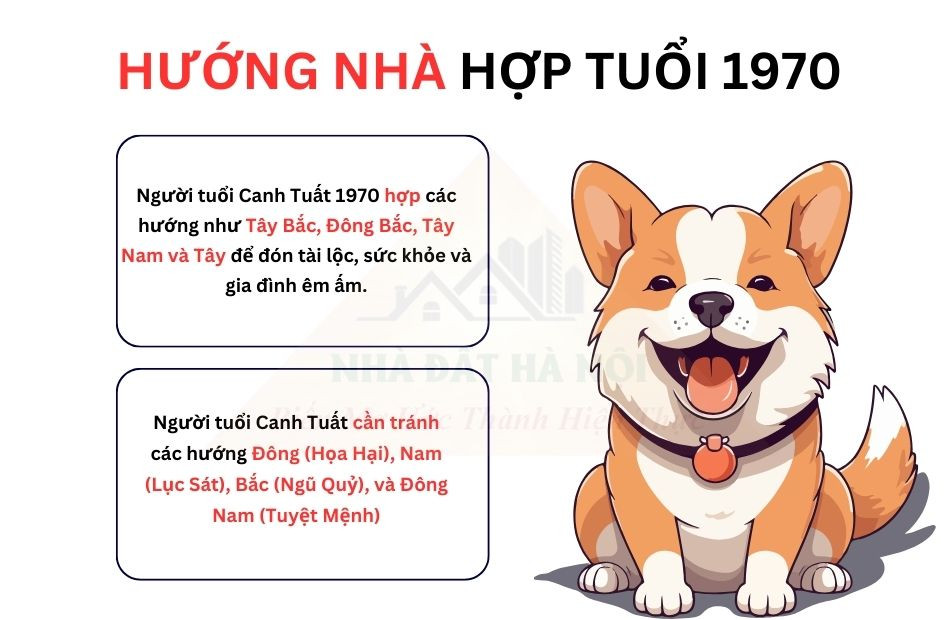 Hình ảnh một la bàn phong thủy hoặc bản đồ bát quái, tượng trưng cho việc chọn hướng hợp mệnh