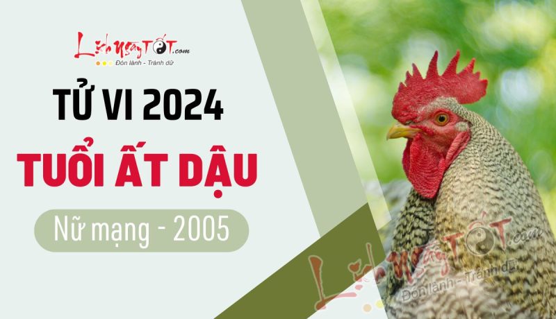 Hình ảnh một người nữ đang xem sách tử vi, tượng trưng cho việc luận giải vận mệnh mệnh tuổi Ất Dậu 2005 nữ mạng năm 2024