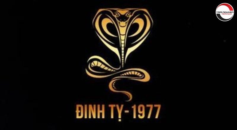 Hình ảnh người tuổi Đinh Tỵ