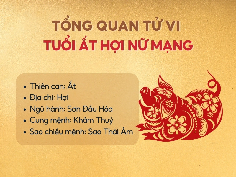 Hình ảnh tổng quan tử vi tuổi Ất Hợi 1995 nữ mạng trong năm 2025