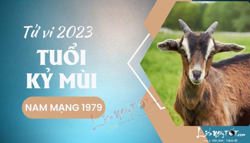 Hình ảnh tổng quan về tử vi tuổi Kỷ Mùi 1979 nam mạng năm 2023, minh họa vận trình và các yếu tố phong thủy.