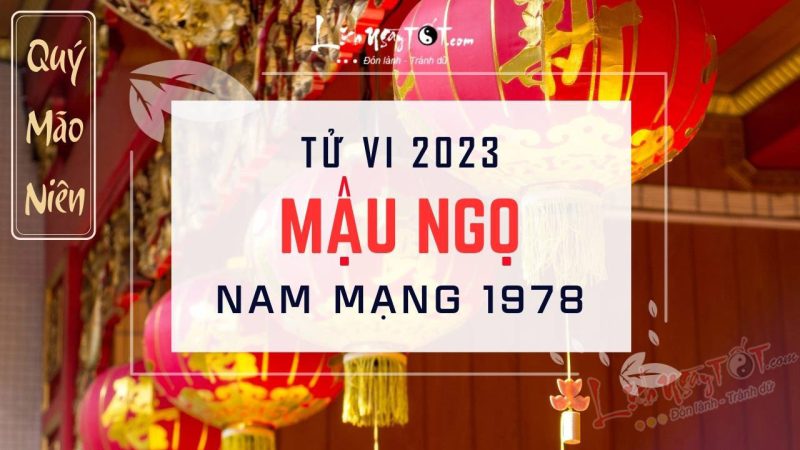 Hình ảnh tổng quan về tử vi tuổi Ngọ 1978 năm 2023 nam mạng