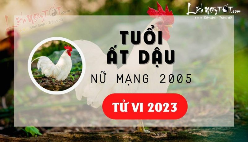 Hình ảnh tượng trưng cho dự báo tử vi tuổi Ất Dậu 2005 nữ mạng năm 2023