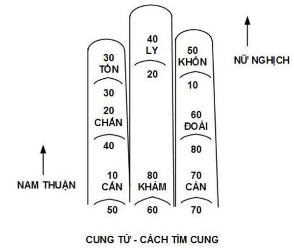 Học cách tính cung số dựa trên lòng bàn tay theo quan niệm dân gian