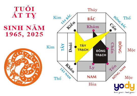 Hướng nhà và nội thất phù hợp cho người tuổi Ất Tỵ