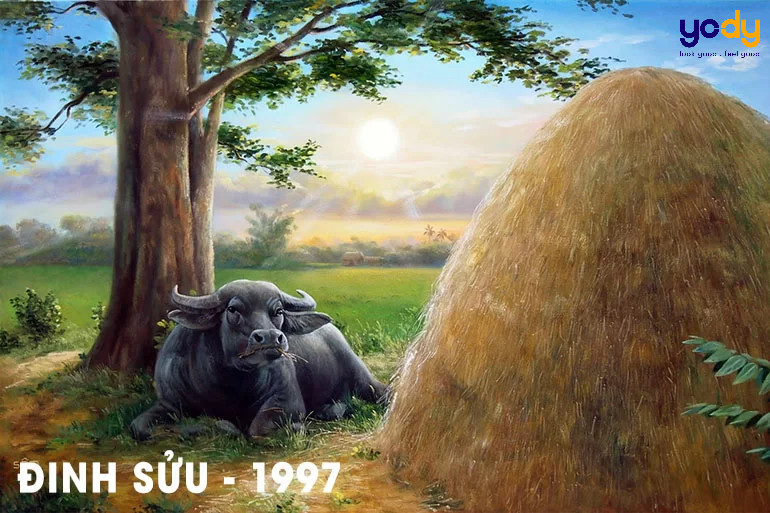 Khám phá 1997 tuổi con gì và cung mệnh ra sao.