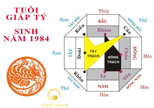 La bàn phong thủy chỉ hướng tốt cho người tuổi Giáp Tý
