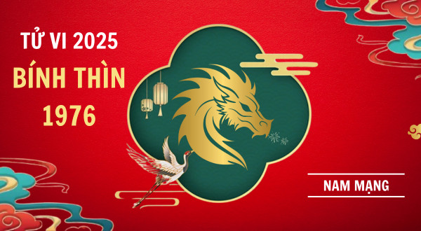 Lá số tử vi tổng quát cho nam mạng tuổi Bính Thìn 1976 năm Ất Tỵ 2025