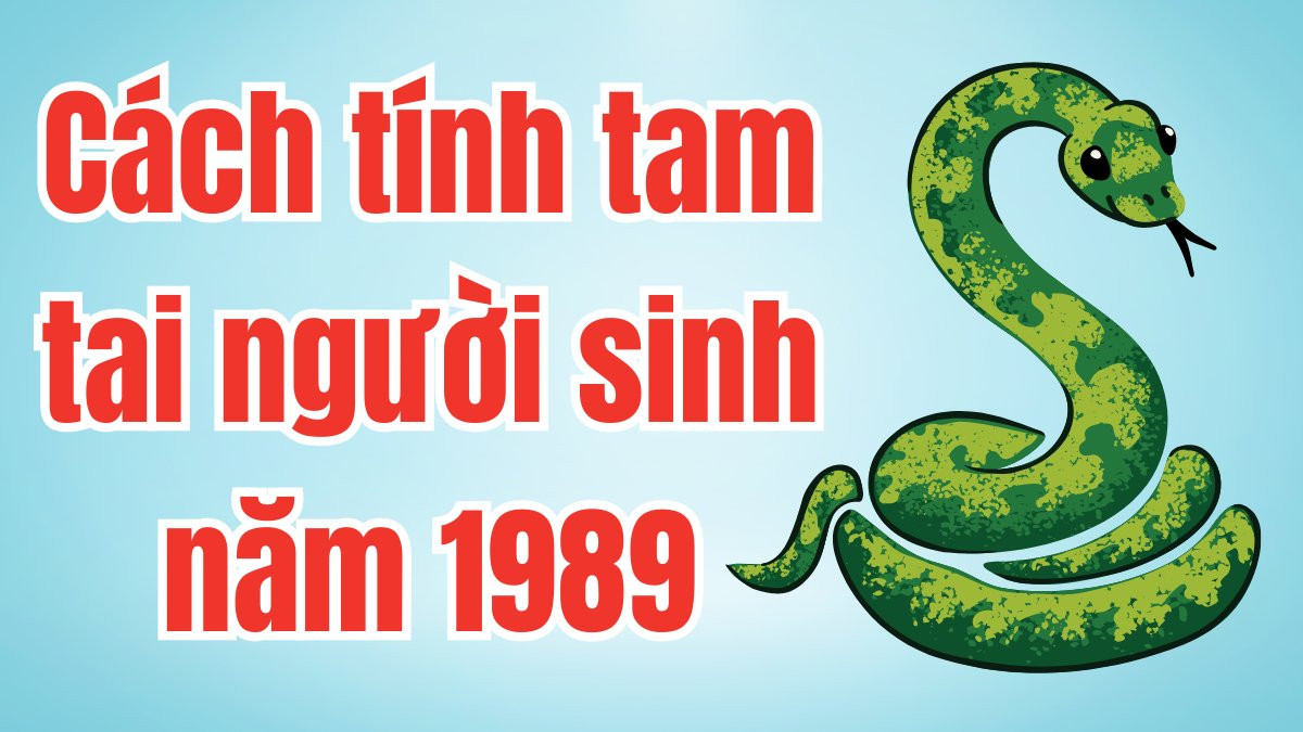 Lịch tính các năm tam tai của tuổi Kỷ Tỵ