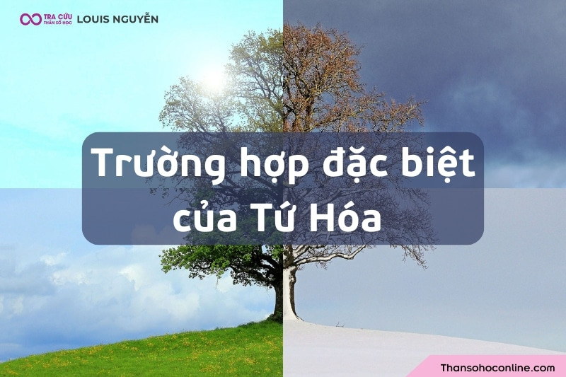 Luận giải Tứ Hóa ở các trường hợp đặc biệt