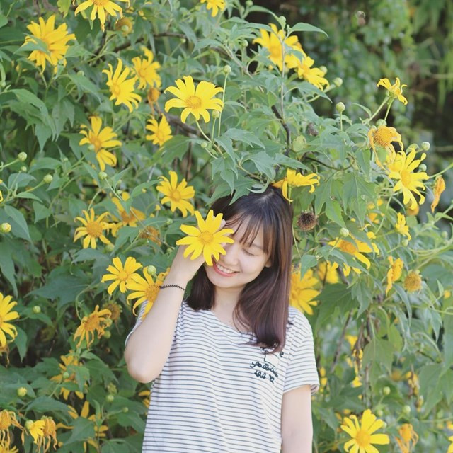 Luận giải tử vi 2019 theo ngày tháng năm sinh và phong thủy