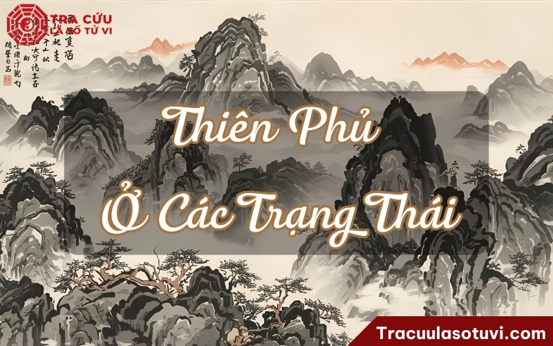 Luận giải tử vi Thiên Phủ cung Tài Bạch theo từng trạng thái