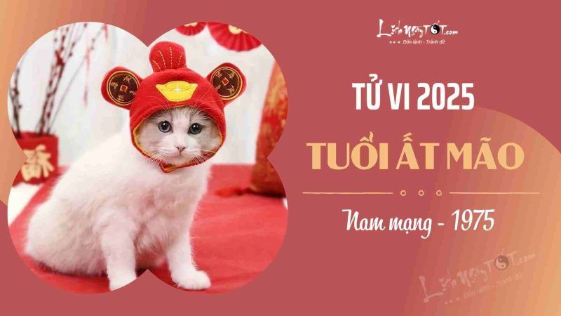 Luận giải tử vi tuổi Ất Mão 1975 nam mạng năm 2025 chi tiết