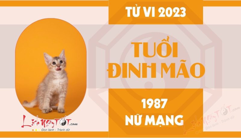 Luận giải tử vi tuổi Mão 1987 nữ mạng năm 2023 chi tiết
