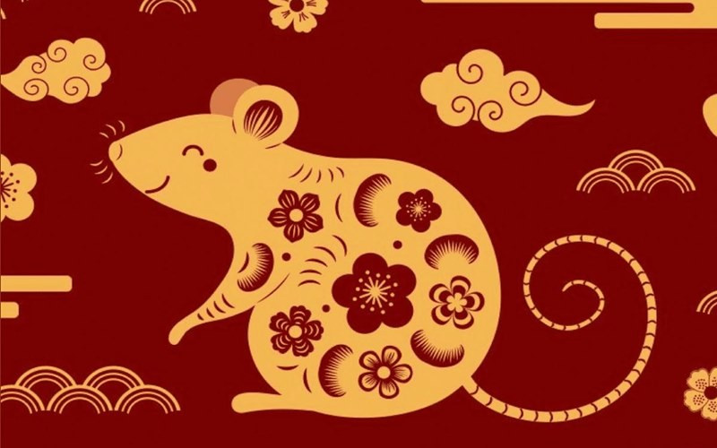 Luận giải vận hạn chi tiết cho tử vi tuổi Giáp Tý nữ mạng
