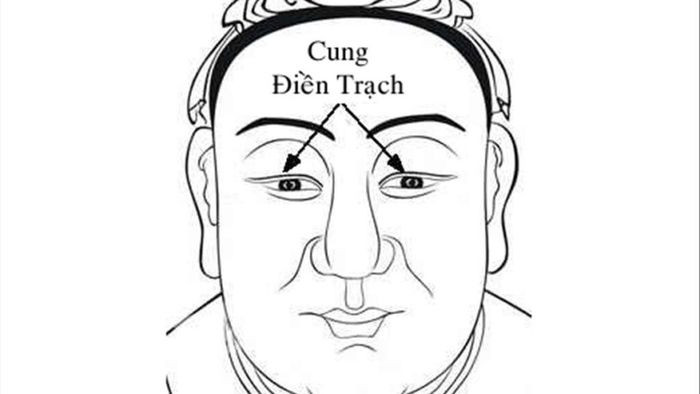 Lưu ý quan trọng khi giải mã ý nghĩa của cung Điền Trạch trong bản đồ tử vi