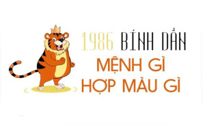 Màu sắc phong thủy tương sinh cho người nữ tuổi Bính Dần 1986